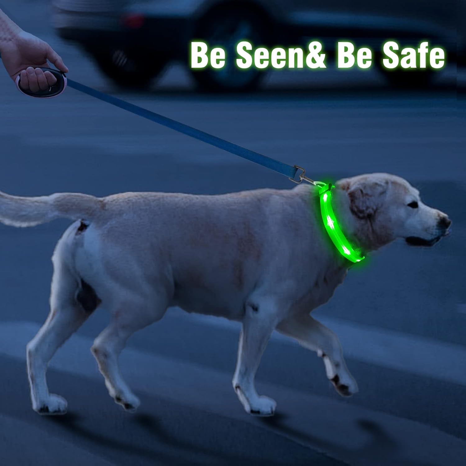 Rechargeable LED Dog Collar