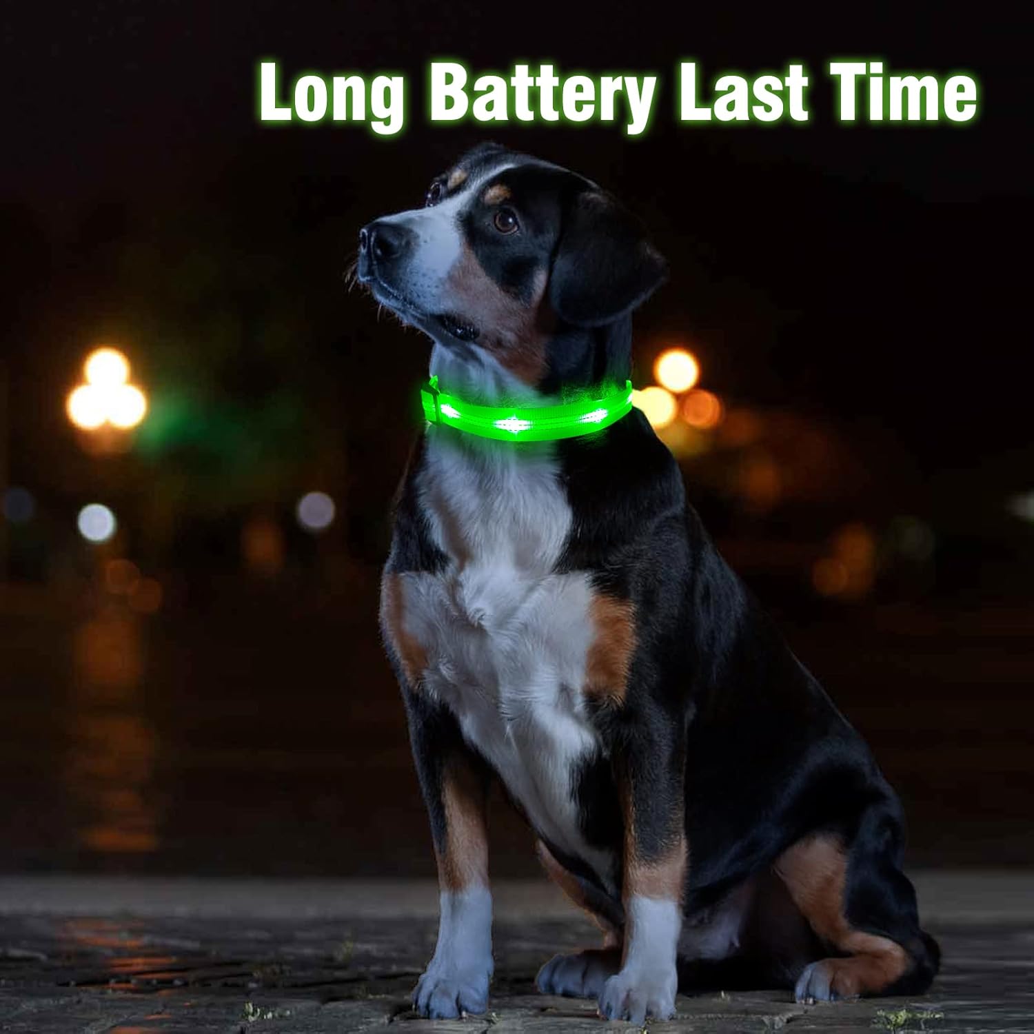 Rechargeable LED Dog Collar