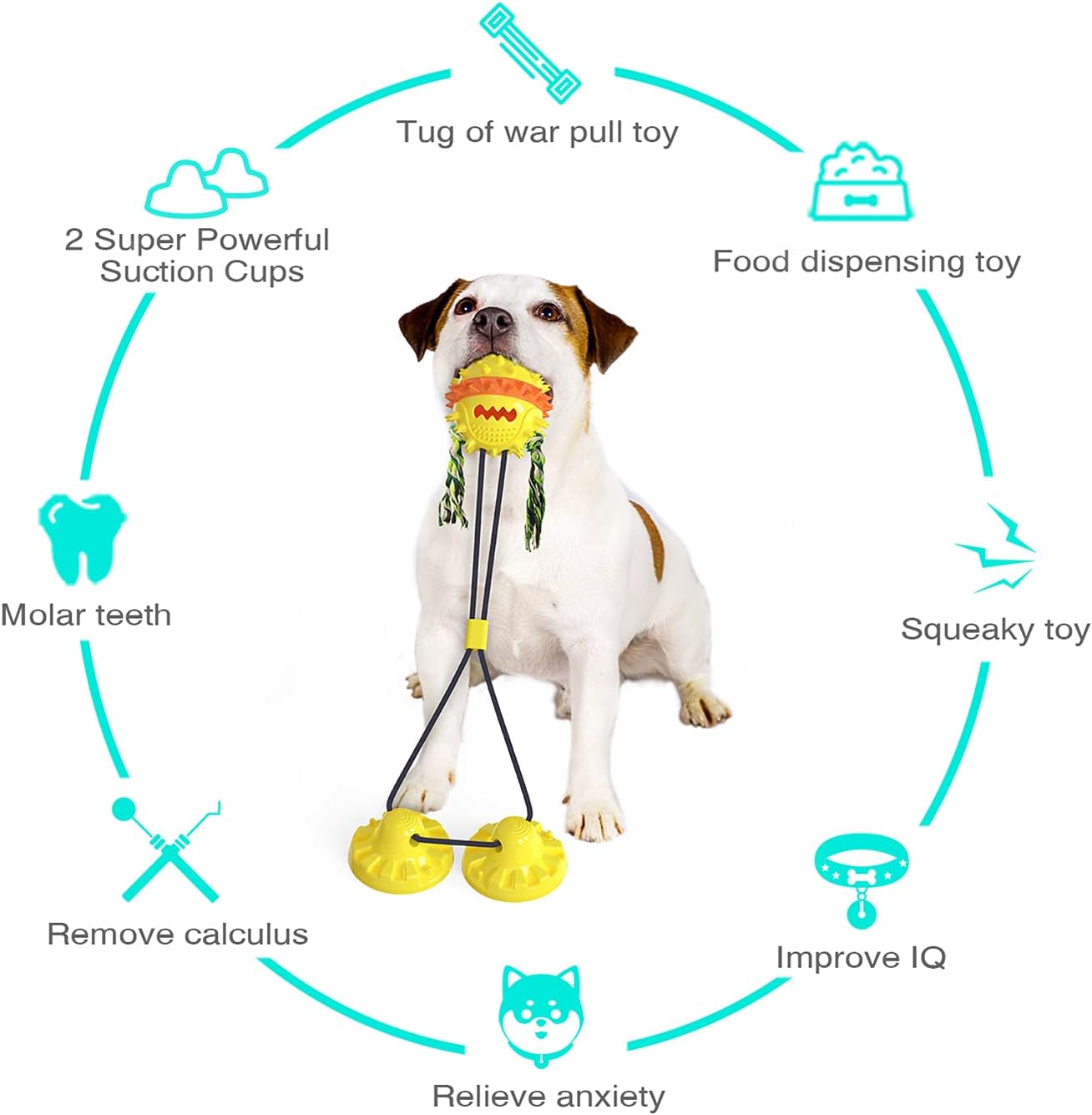 Suction CupToy for Hyperactive Dogs
