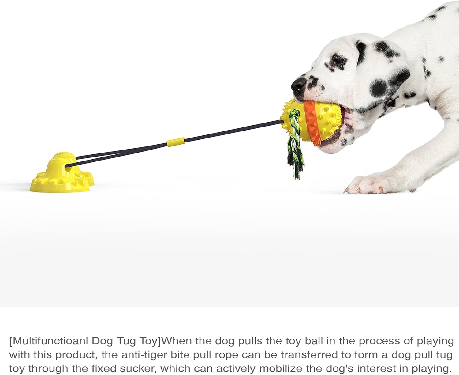 Suction CupToy for Hyperactive Dogs