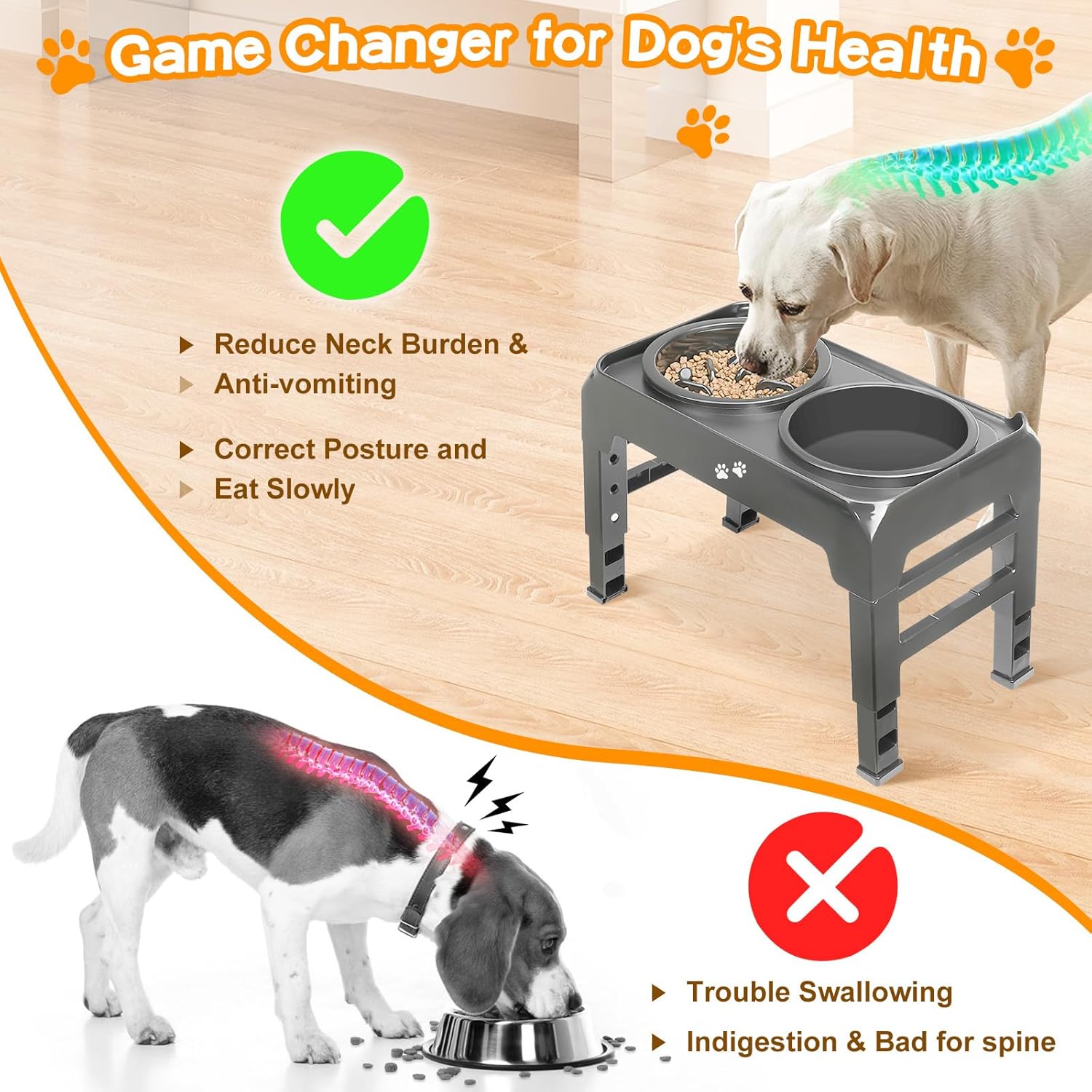Elevated Dog Bowls
