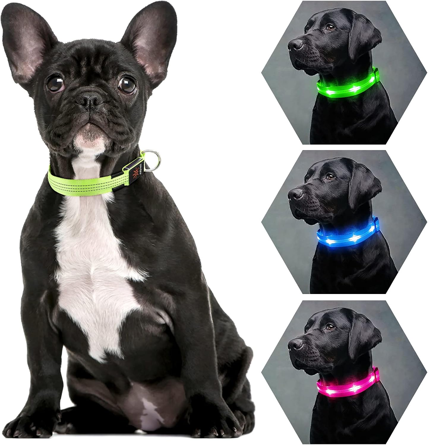 Rechargeable LED Dog Collar