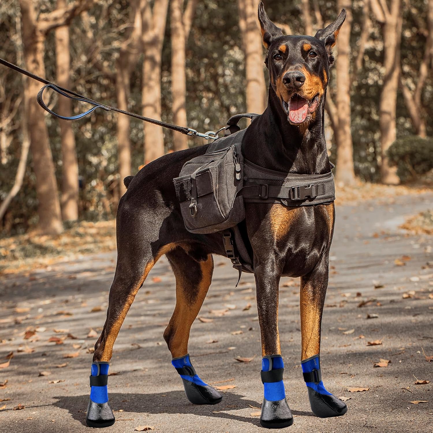 Waterproof Dog Shoes