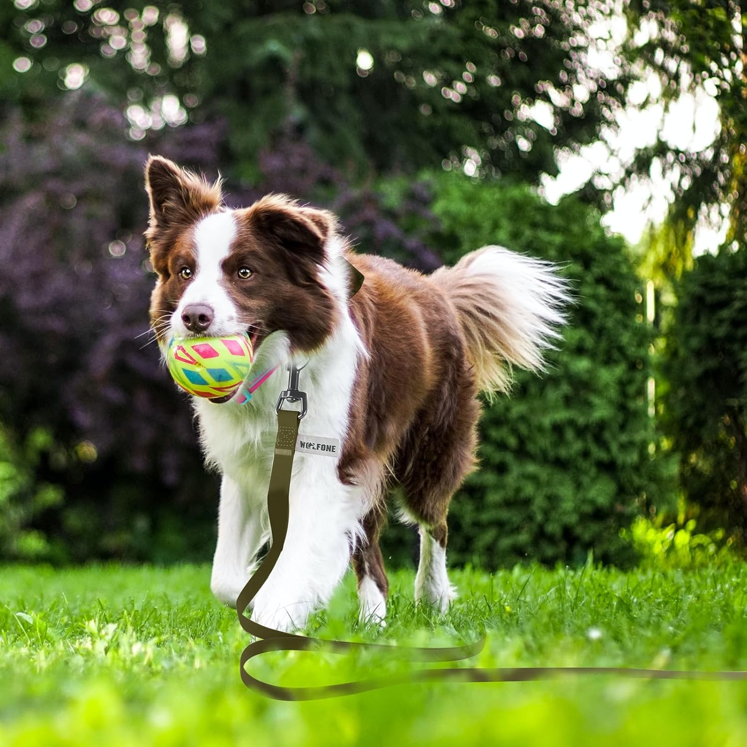 Waterproof Dog Leash