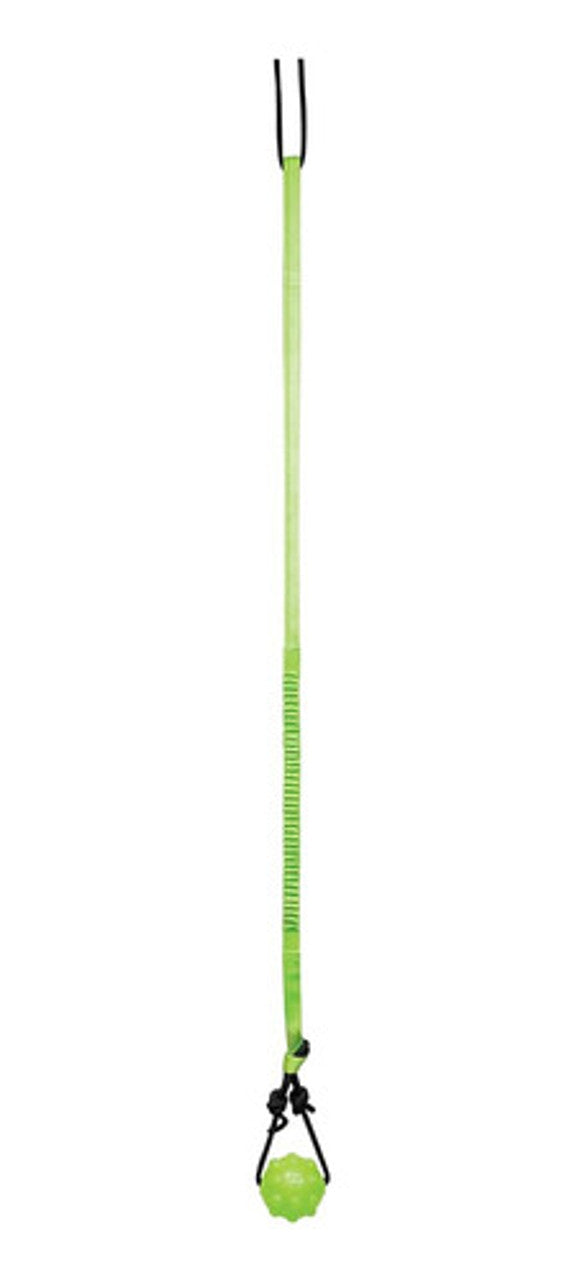 Jolly Pets Tree Tugger