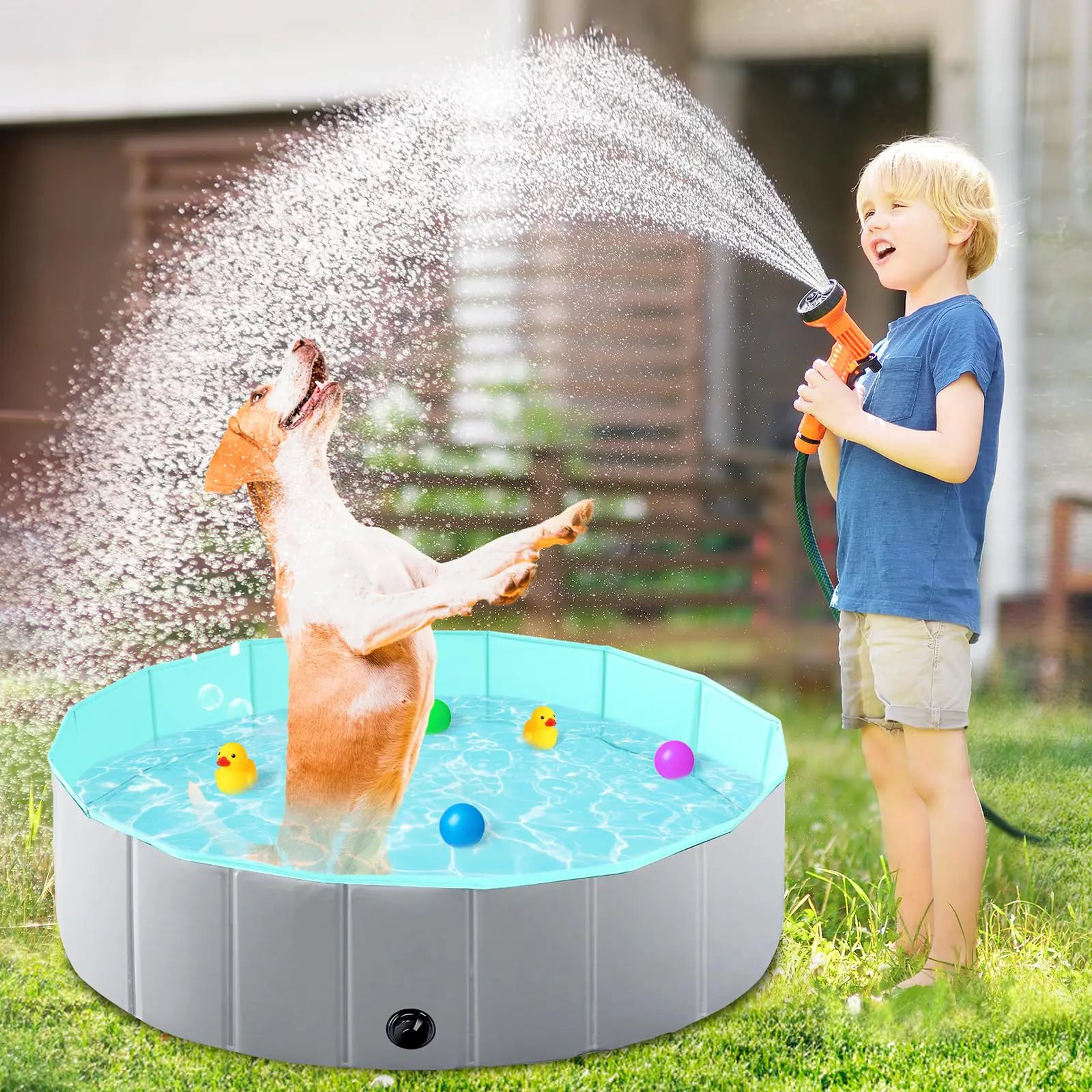Dog Pet Pool Swimming