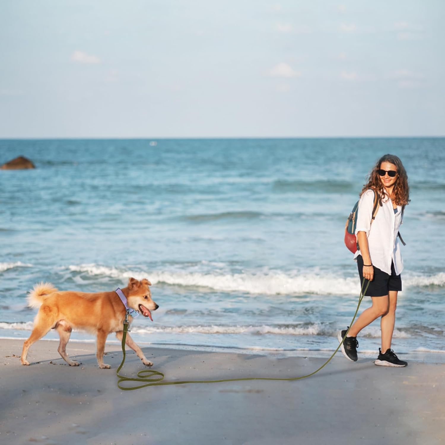 Waterproof Dog Leash