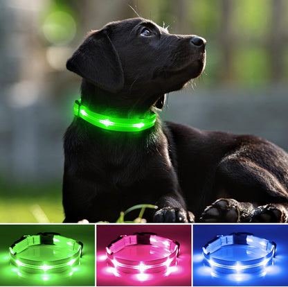 Rechargeable LED Dog Collar