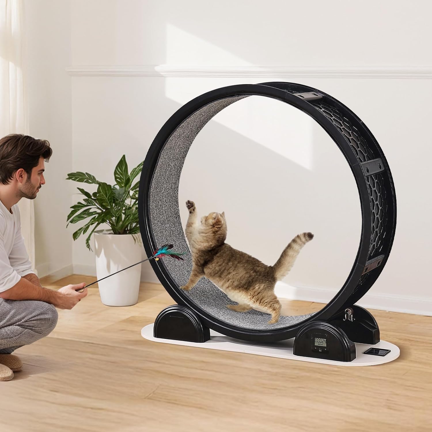 Cat Exercise Wheel
