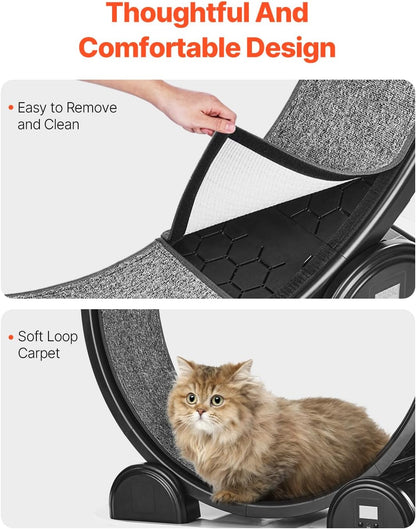 Cat Exercise Wheel