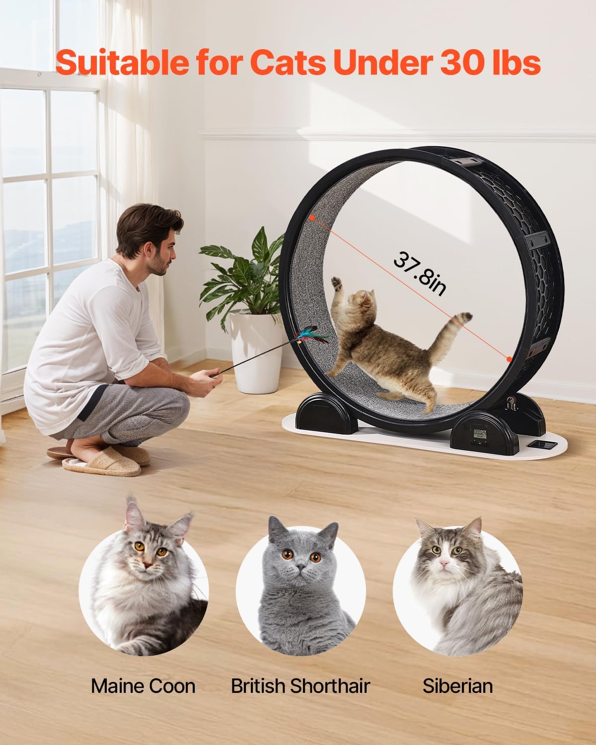 Cat Exercise Wheel