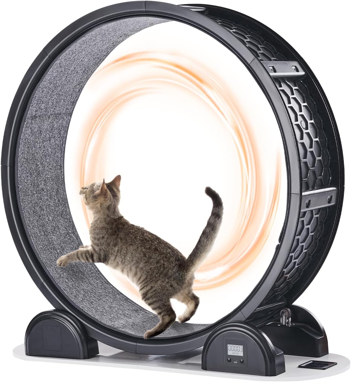 Cat Exercise Wheel