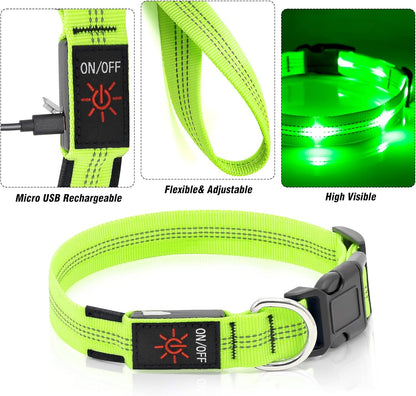 Rechargeable LED Dog Collar