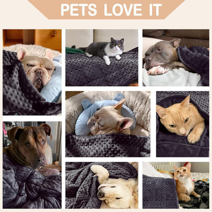 Weighted Blanket for Dogs