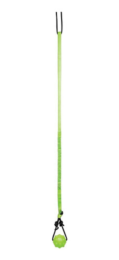 Jolly Pets Tree Tugger