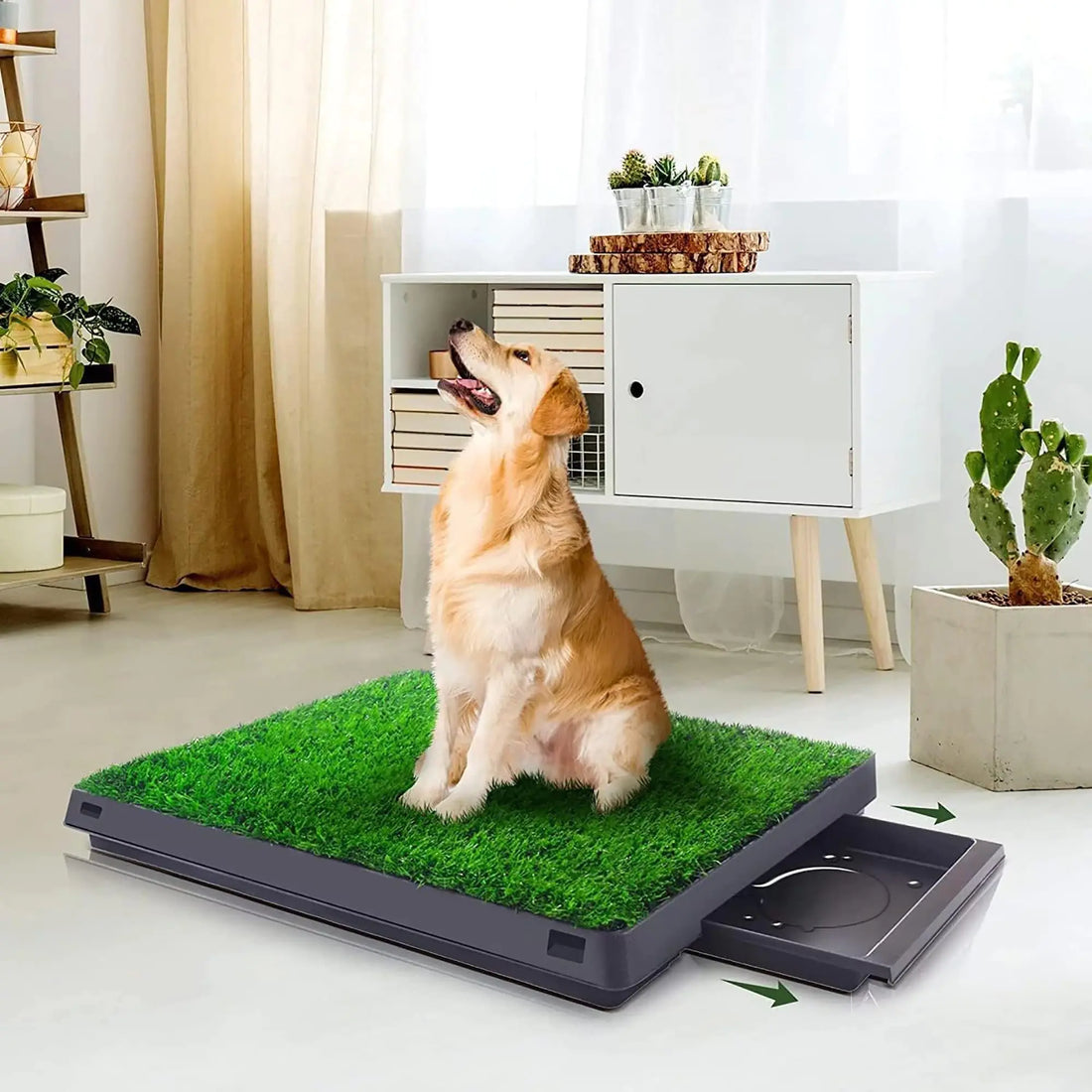 Smart Dog Pet Potty Tray