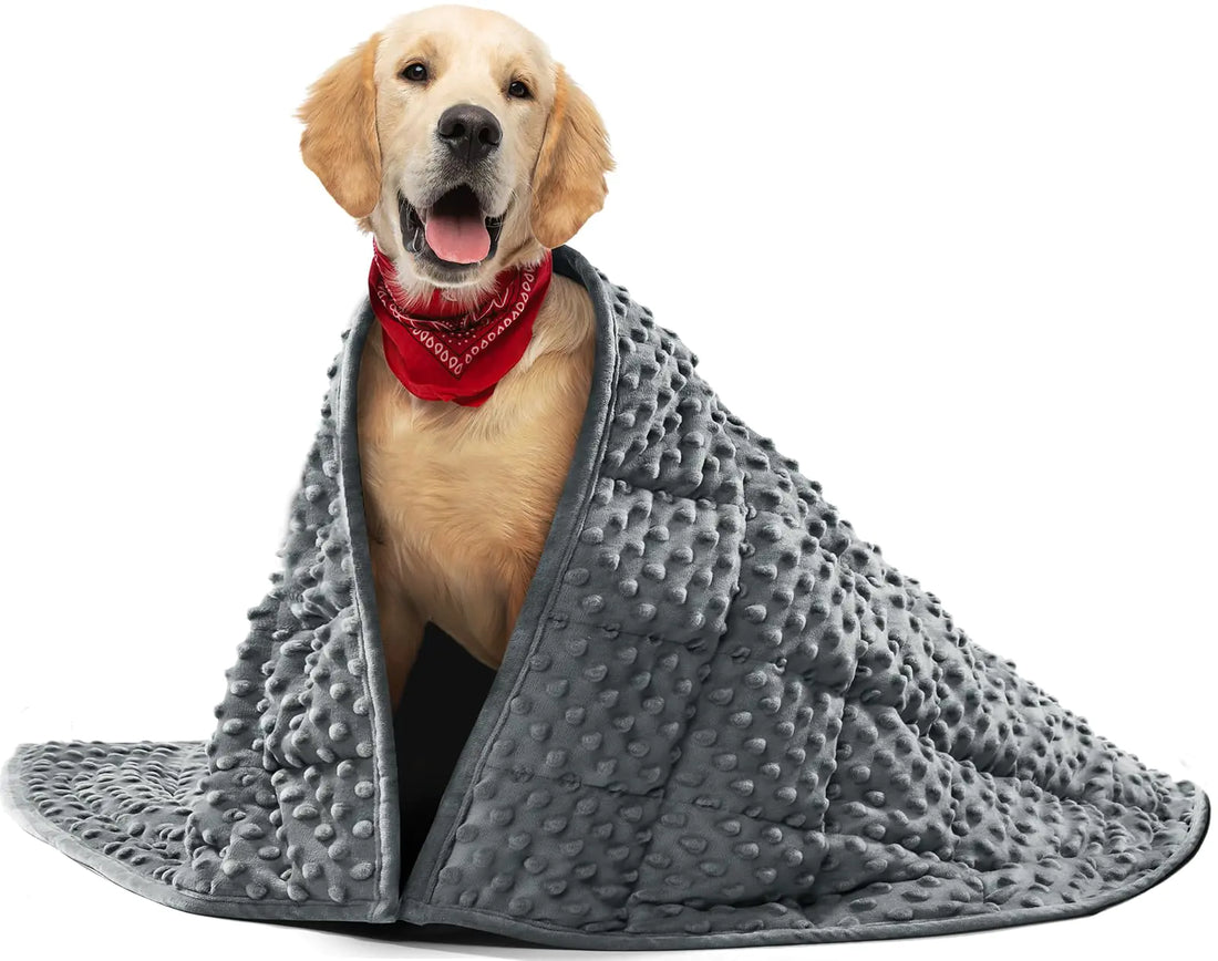 Weighted Blanket for Dogs